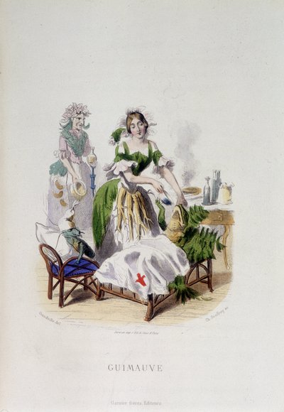 Personificazione della pianta medicinale Altea che cura una rana - in "Fiori animati" di Grandville da Grandville