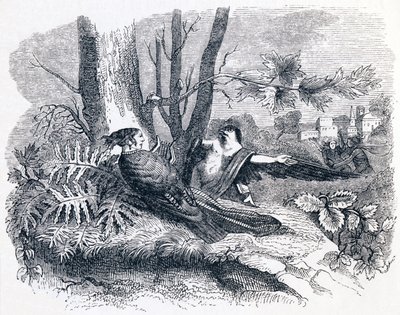 Filomela e Progne - Favole di La Fontaine da Grandville