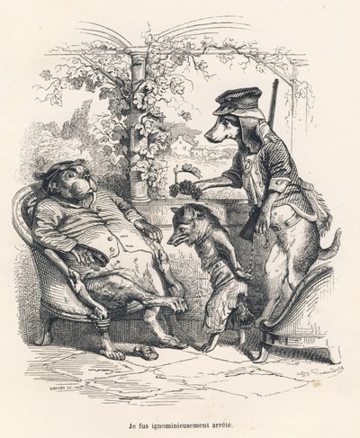 Volpe arrestata da un cane. Vignette illustrate da JJ Granville. Incisione firmata Godard nella parte intitolata "Una volpe presa in trappola" scritto da Charles Nodier in "Scene della vita privata e pubblica degli animali". Parigi, J. Hetzel e Paulin da Grandville