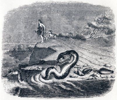 La testa e la coda del serpente (La tête et la queue du serpent) - Favole di La Fontaine da Grandville