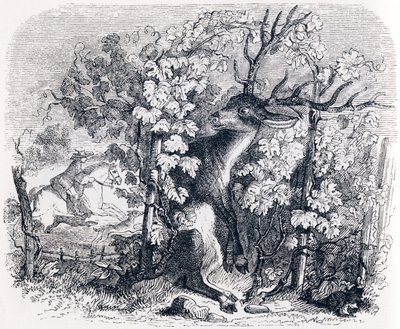 Il cervo e la vite - Favole di La Fontaine da Grandville