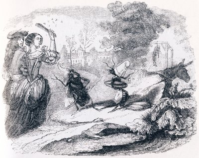 La mosca e la formica (La mouche et la fourmi) - Favole di La Fontaine da Grandville