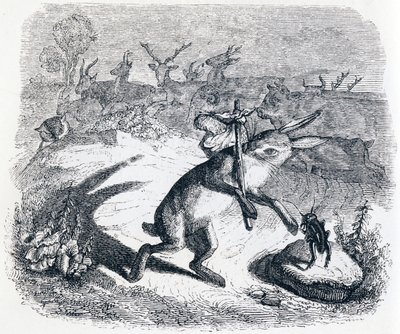 Le orecchie della lepre (Les oreilles du lièvre) - Favole di La Fontaine da Grandville