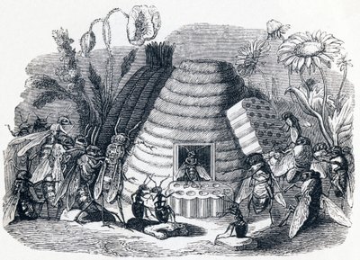 I calabroni e le api (Les frelons et les mouches à miel) - Favole di La Fontaine da Grandville