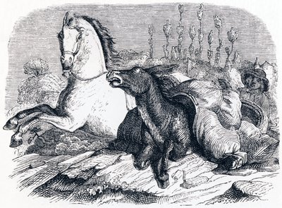 Il cavallo e l