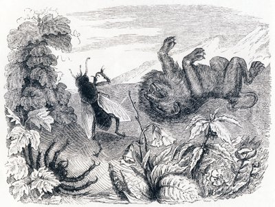 Il leone e la nebbia - Favole di La Fontaine da Grandville