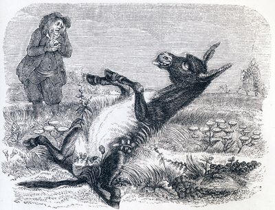 Il vecchio e la volpe da Grandville
