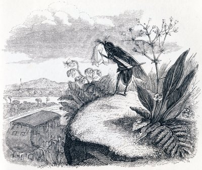La carrozza e la mosca - Favole di La Fontaine da Grandville