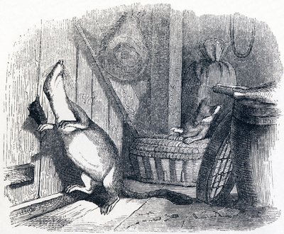La donnola entra in un granaio (La belette entrée dans un grenier) - Favole di La Fontaine da Grandville