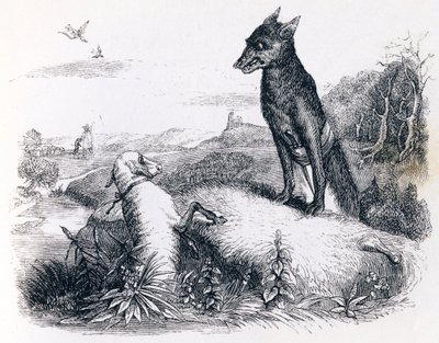Il lupo e l