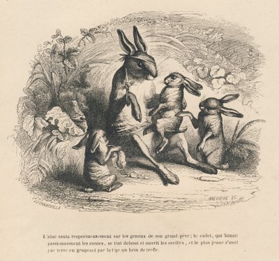 Tre bambini conigli che ascoltano il loro nonno ferito raccontare storie. Vignette illustrate da JJ Granville. Incisione firmata Breviere nella parte "Storia di una lepre" scritto da PJ Stahl in "Scene della vita privata e pubblica degli animali". Parigi da Grandville