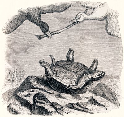 La tartaruga e le due anatre - Favole di La Fontaine da Grandville