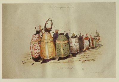 Famiglia di scarabei, 1828-29 da Grandville