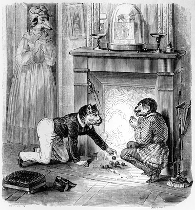 La scimmia e il gatto, illustrazione per 