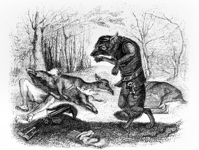 Il Lupo e il Cacciatore, illustrazione per 