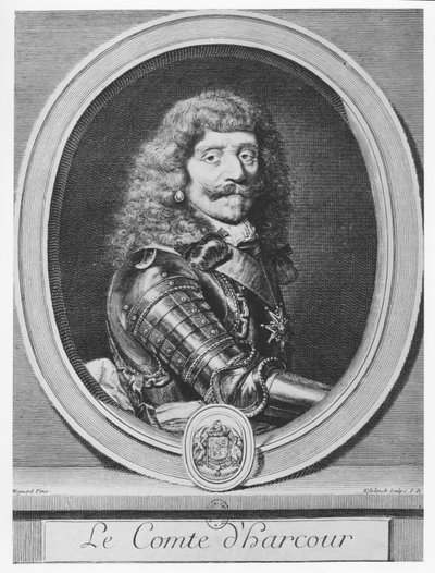 Henri de Lorraine, Conte d