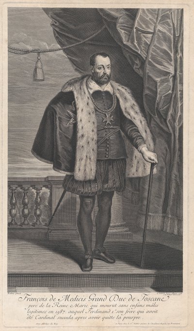 Ritratto di Francesco I de