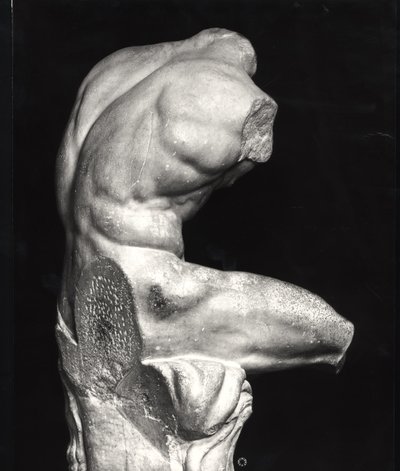 Torso del Belvedere (marmo) (foto b/n) da Greco Roman Greco Roman
