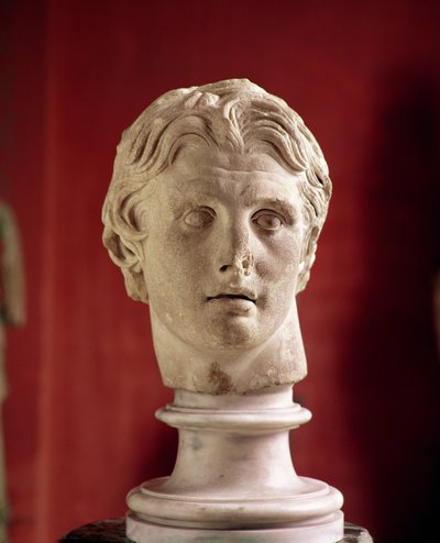 Testa di Alessandro Magno, trovata a Pergamo da Greek