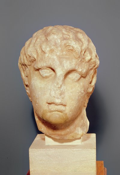 Testa di uno dei Diadochi o Testa di Alessandro III il Grande da Greek