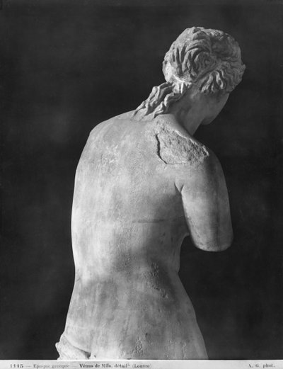Venere di Milo, vista posteriore, periodo ellenistico, c.130-100 a.C. da Greek