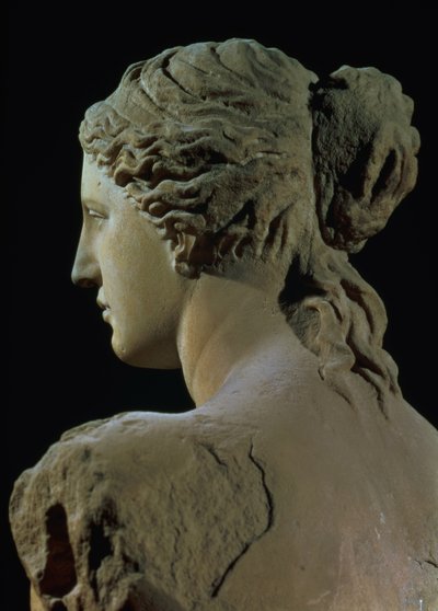 Venere di Milo, dettaglio del retro della testa, periodo ellenistico, c.100 a.C. (dettaglio) da Greek