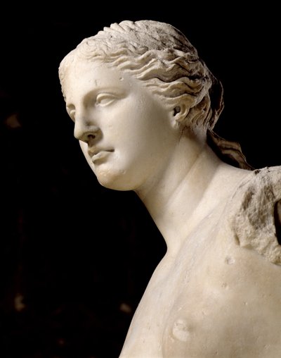 Venere di Milo, dettaglio della testa da Greek