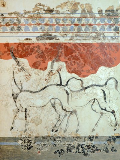 Antilopi, affresco di Akrotiri, Thera (oggi Santorini), Grecia, Civiltà Minoica da Greek School
