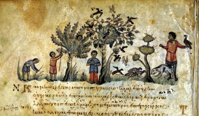 Caccia con il falcone e cattura di nidi di uccelli. Manoscritto greco di Oppiano De Venatione XIII secolo da Greek School