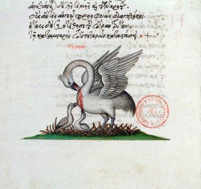 Un pellicano che perfora il suo petto per nutrire i suoi piccoli, da un Bestiario di Manuel Philes, 1566 da Greek School