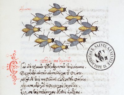 Ms 3402 Api, da un Bestiario di Manuel Philes, 1566 da Greek School