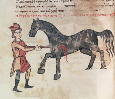 Ms Grec 2244 fol.37v Operazione su un cavallo da Greek School