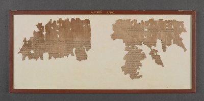 Omero, Odissea III da Greek school