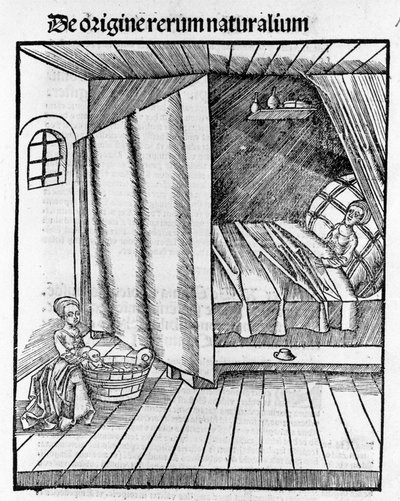 Una levatrice pulisce il neonato mentre la madre riposa. Incisione in "Margarita Philosophica" di Gregor Reisch (1467-1525), Basilea da Gregor Reisch