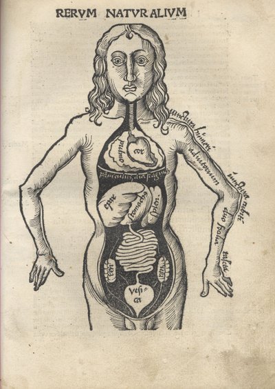 Margarita Philosophica. Anatomia, 1504 da Gregor Reisch