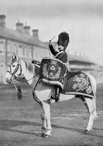 Plum Duff, il cavallo tamburino dei Royal Scots Greys, 1896 da Gregory and Co