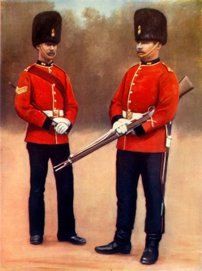 Sergente e soldato dei Dubin Fusiliers da Gregory and Co
