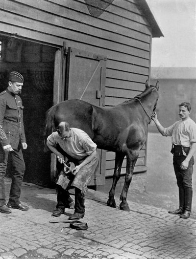 Il maniscalco maggiore della Guardia Reale a Cavallo, 1896 da Gregory and Co