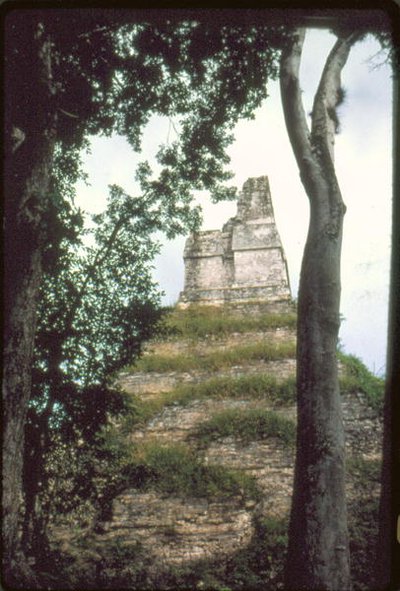 Tempio delle Iscrizioni, c. 700 d.C. da Guatemalan School