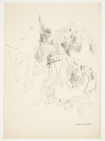 Studio di rami da Gudrun Traustedt