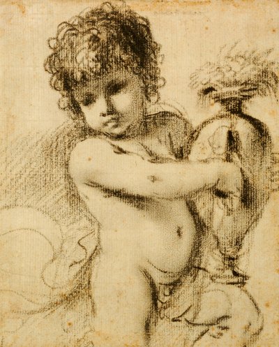Un putto con un vaso da Guercino