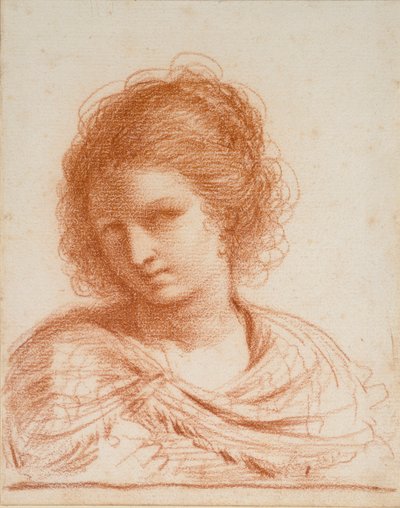 Testa di una Giovane Donna da Guercino