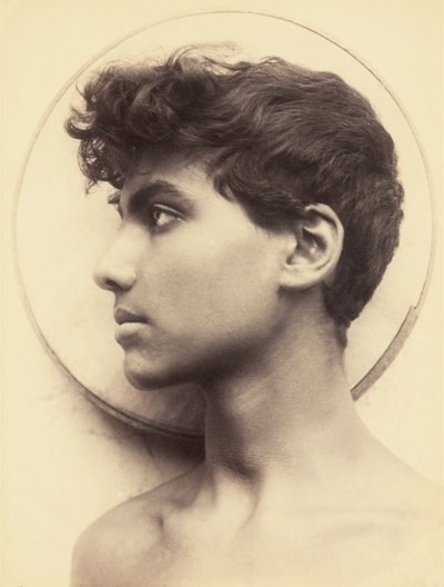 Immagine sconosciuta da Guglielmo Plüschow