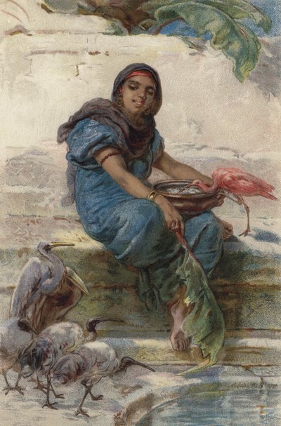 Nutrire gli uccelli sacri (litografia a colori) da Guido Bach