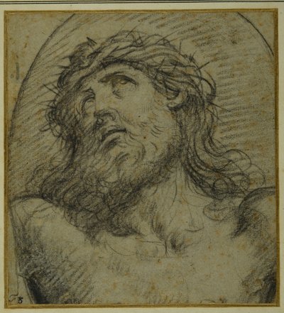 Testa e spalle del Cristo vivente crocifisso da Guido Reni