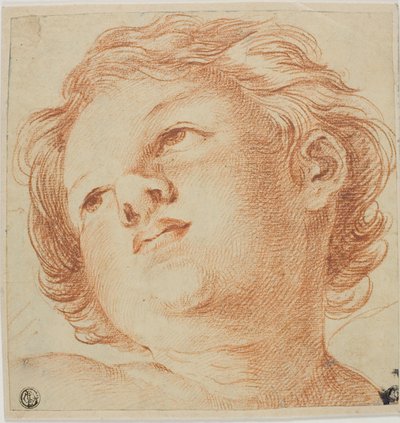 Testa di putto da Guido Reni