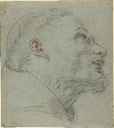Testa di San Francesco da Guido Reni