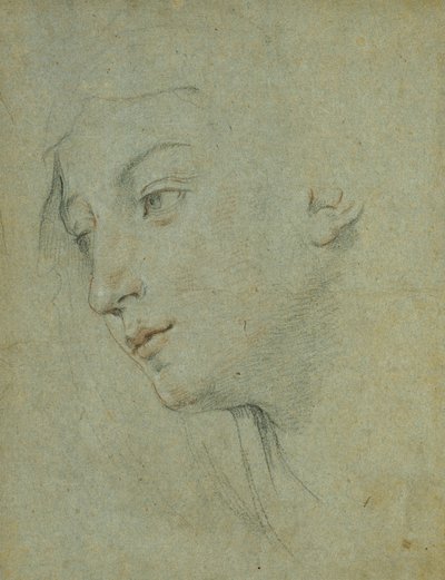 La testa di una donna che guarda in basso a sinistra da Guido Reni