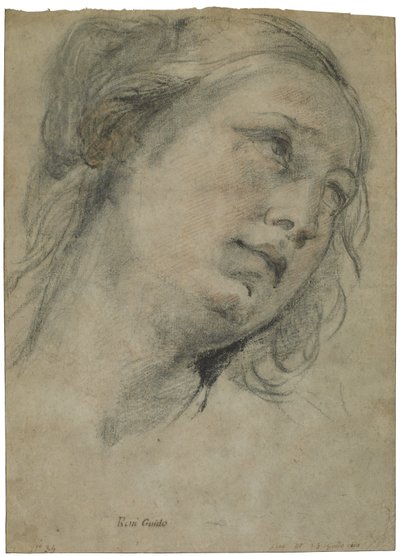 La testa di una giovane donna che guarda verso l