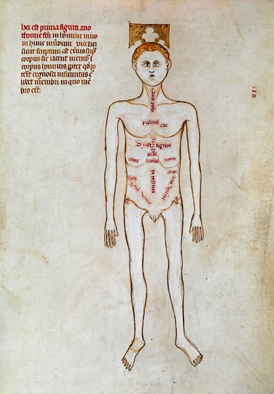 Chirurgia: rappresentazione del corpo umano. Miniatura in "Liber notabilium Philippi septimi francorum regis, a libris Galieni extractus" scritta da Gui (Guy) di Pavia da Guido da Vigevano da Pavia
